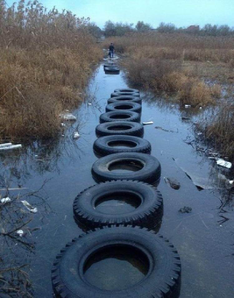 Чего только не встретишь на своем пути! ФОТО