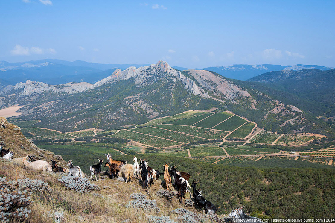 Хребты Юго-восточного Крыма. ФОТО