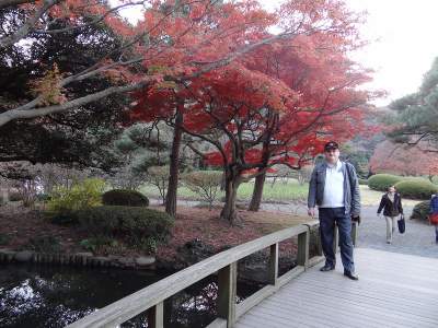 Осенняя Япония в ярких пейзажах. Фото
