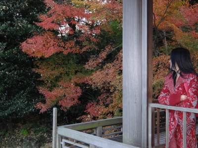 Осенняя Япония в ярких пейзажах. Фото