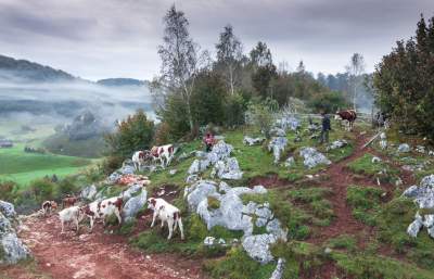 Фотограф показал, ради чего стоит съездить в Румынию. Фото	