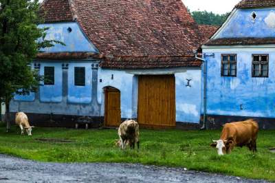 Фотограф показал, ради чего стоит съездить в Румынию. Фото	