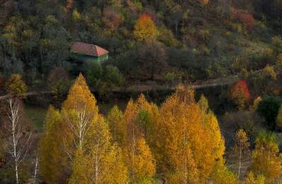 Фотограф показал, ради чего стоит съездить в Румынию. Фото	