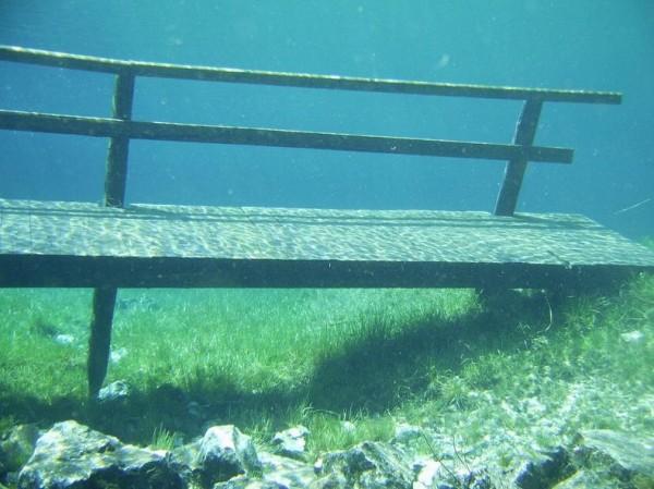Подводный парк Зеленое озеро