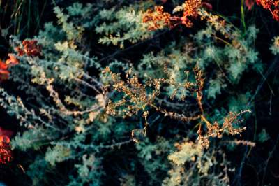 Осенняя Хортица в ярких снимках. Фото
