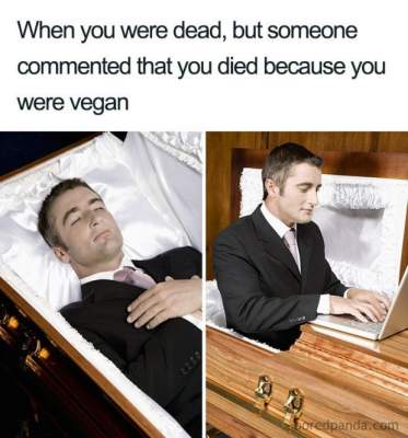 Сеть наводнили забавные мемы о трудностях вегетарианства