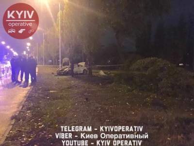 В Киеве Honda загорелась, врезавшись в дерево  