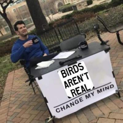 Сеть повеселили мемы о птицах-дронах