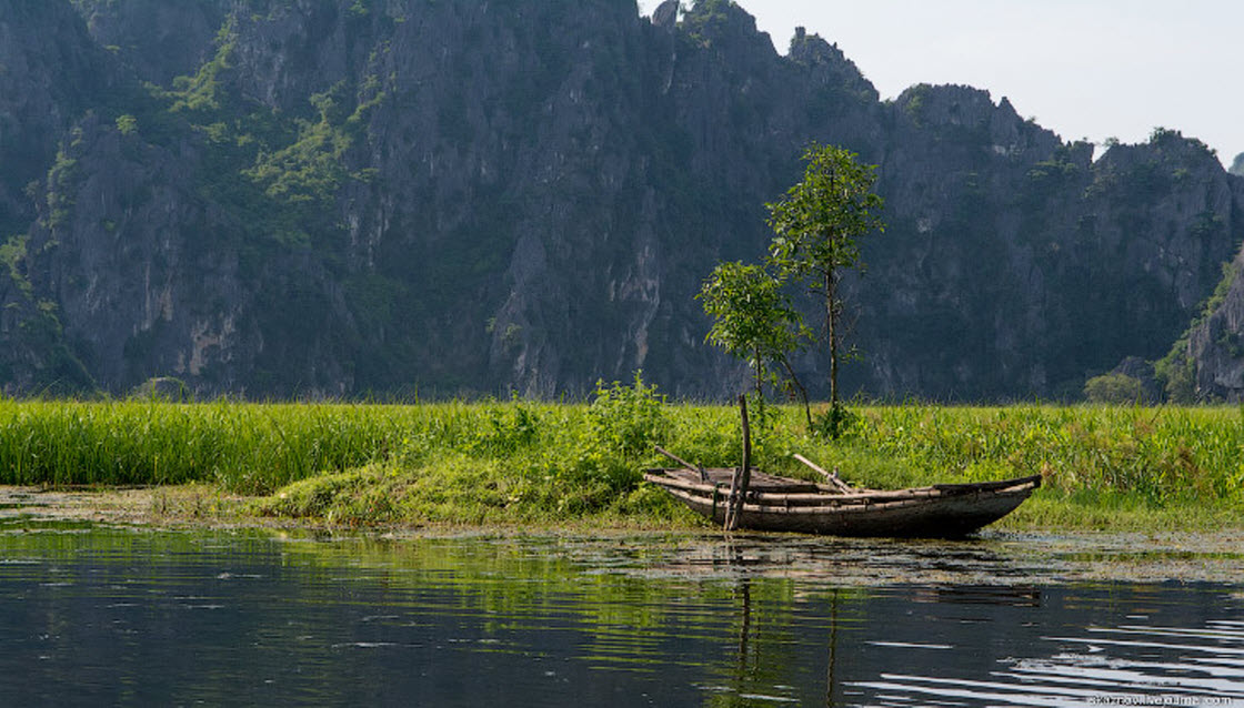 Лонг это. Водно-болотные угодья Вьетнама. Long van.