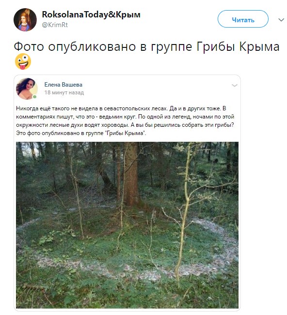 &quot;Лесные духи водят хороводы&quot;: в Крыму запечатлели странное явление (фото)