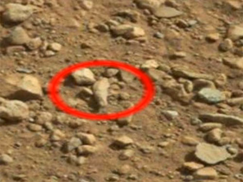 Британские энтузиасты обнаружили свидетельства жизни на Марсе: палец, ботинок и инопланетных животных