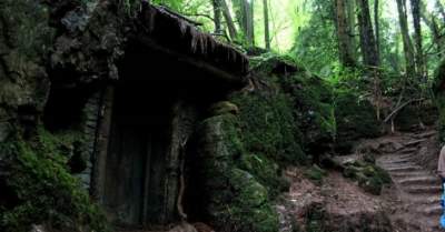 Лес, вдохновивший Толкиена на создание Средиземья. Фото