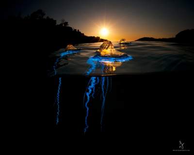 Подводный мир на фоне красивых пейзажей. Фото