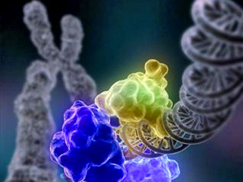 Впервые ученые составили самую полную карту ДНК человека