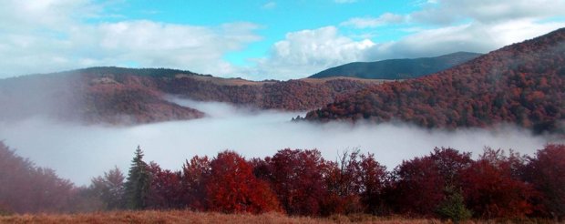 Багряная осень в Карпатах: удивительные фото украинских гор