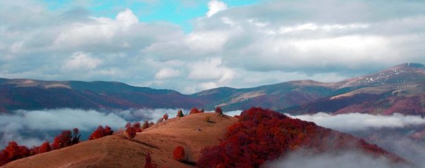 Багряная осень в Карпатах: удивительные фото украинских гор