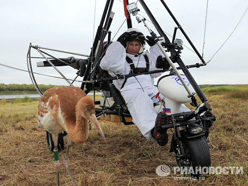 Госдеп США похвалил Путина за полёты с журавлями и предложил совместно спасать леопардов и полярных медведей