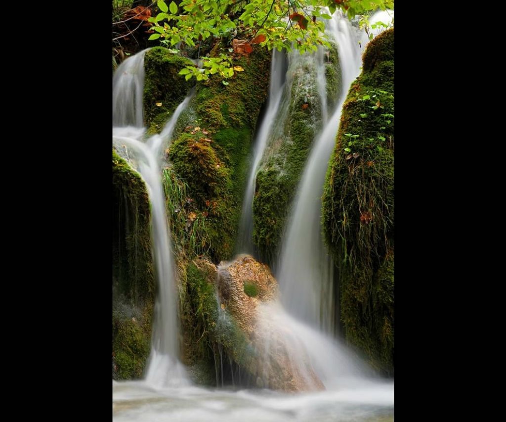 Фото: Невообразимая красота хорватского леса со страшным названием "Сад дьявола" (Фото)