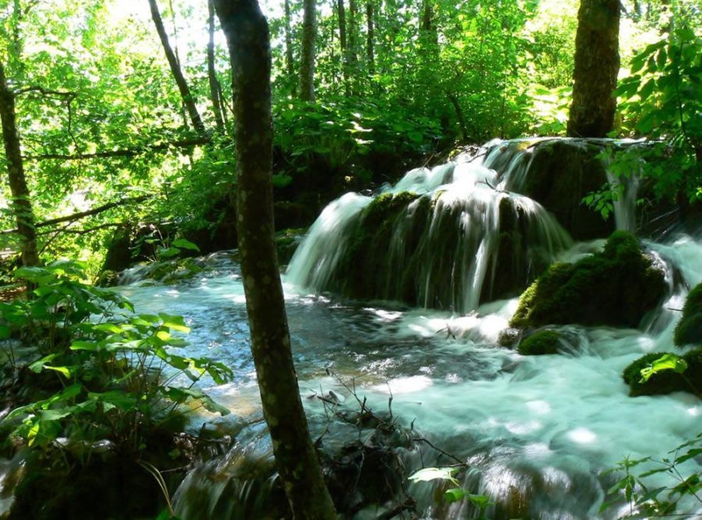 Фото: Невообразимая красота хорватского леса со страшным названием "Сад дьявола" (Фото)