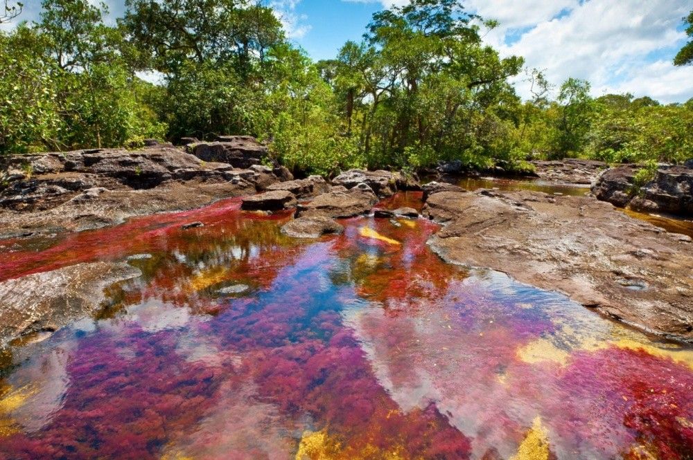 Фото: Места нашей планеты, где буйствуют краски (Фото) 