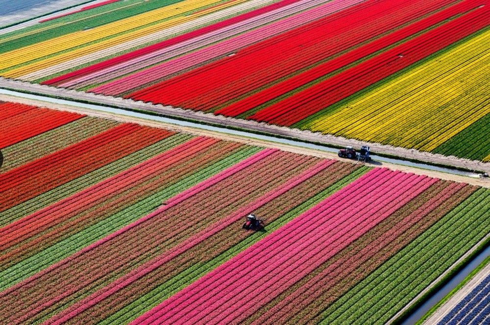 Фото: Места нашей планеты, где буйствуют краски (Фото) 