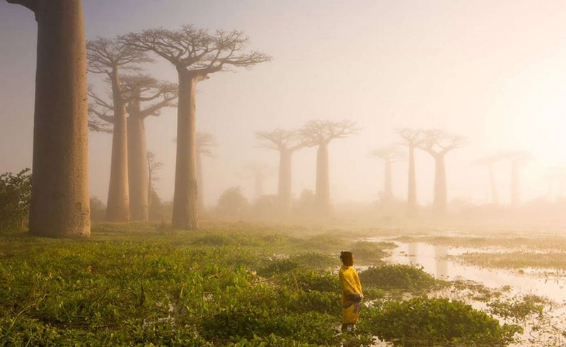 20 самых шедевральных снимков, когда-либо сделанных для National Geographic