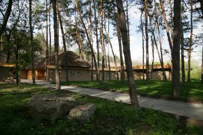 Необычный эко-дом от украинских дизайнеров. Фото
