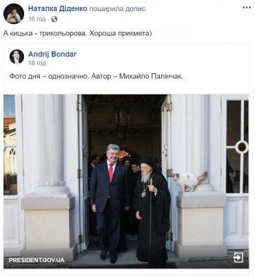 Соцсети продолжают с юмором обсуждать стамбульского кота на фотке Порошенко