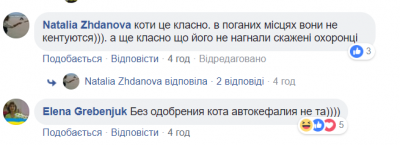 Соцсети продолжают с юмором обсуждать стамбульского кота на фотке Порошенко