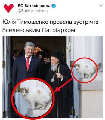 Сеть повеселила кошка на фотке Порошенко и Варфоломея