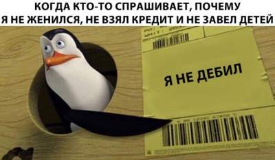 Пингвин в коробке стал героем нового мема