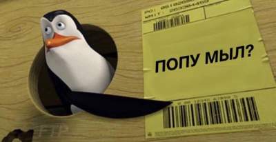 Пингвин в коробке стал героем нового мема