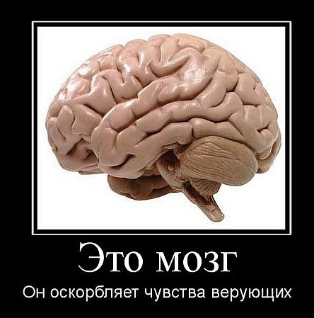 Почему недостаток общения в детстве ухудшает работу мозга в зрелости