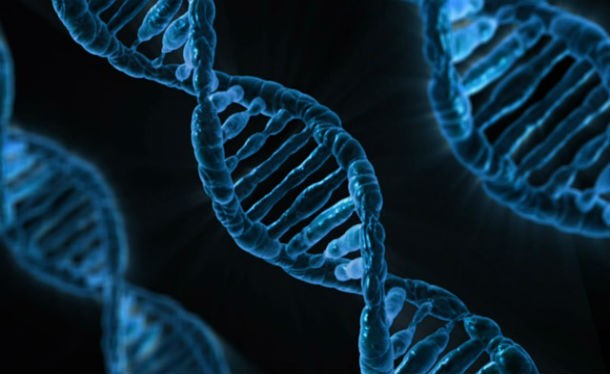14 интересных фактов о ДНК