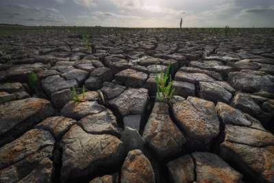 Засуху в Нидерландах показали в впечатляющих пейзажах. Фото