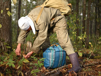 Поиски потерянной сумки помогли заблудившимся грибникам выйти из леса