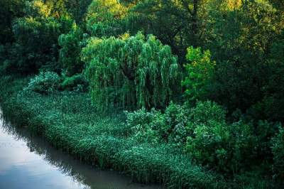 Природа Хортицы в ярких пейзажах. Фото