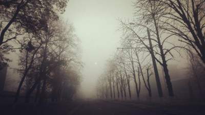 Окутанный туманом Харьков в атмосферных снимках. Фото