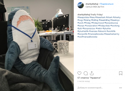 Пользователи Сети устроили забавный флешмоб с акулами