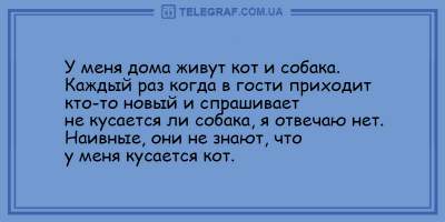 Ни дня без смеха: анекдоты на все случаи жизни