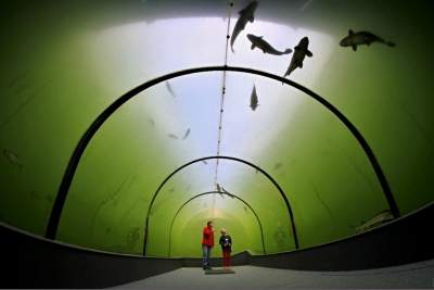 Уникальный туннель, построенный под озером в Чехии. Фото 