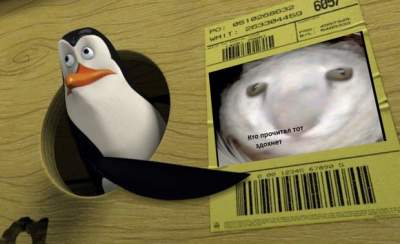 Пингвин в коробке стал героем нового мема