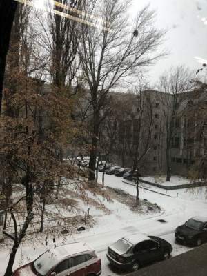 Киевляне делятся в соцсетях снимками первого снега. Фото 