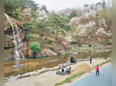 Фотограф показал, чем заняты на выходные жители Южной Кореи. Фото
