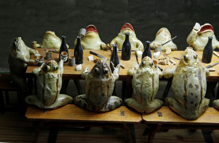 Музей, в котором 108 чучел лягушек изображают сценки из жизни. ФОТО