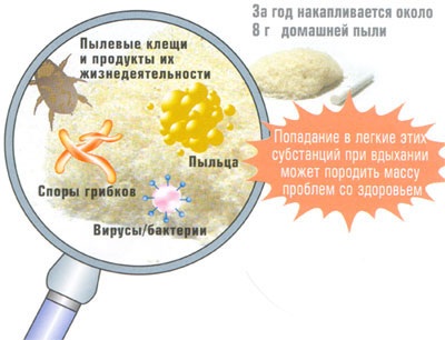 80% домашней пыли составляют клещи