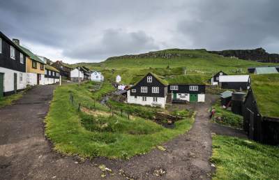 Уютные скандинавские домики с заросшими крышами. Фото