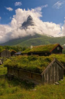 Уютные скандинавские домики с заросшими крышами. Фото