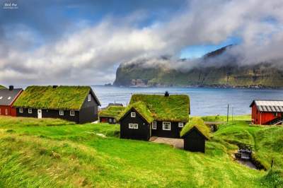 Уютные скандинавские домики с заросшими крышами. Фото