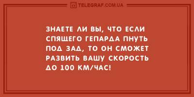 Порция хорошего настроения: подборка свежих анекдотов